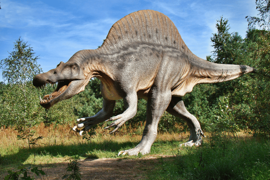 The Dinosaur Park